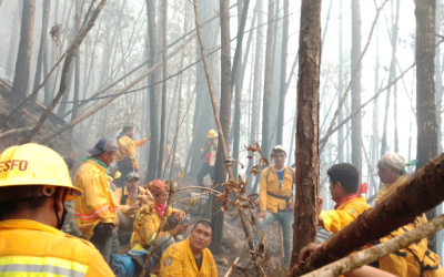 Apoyo a brigadas contra el combate del incendio forestal en el paraje Mono pelado