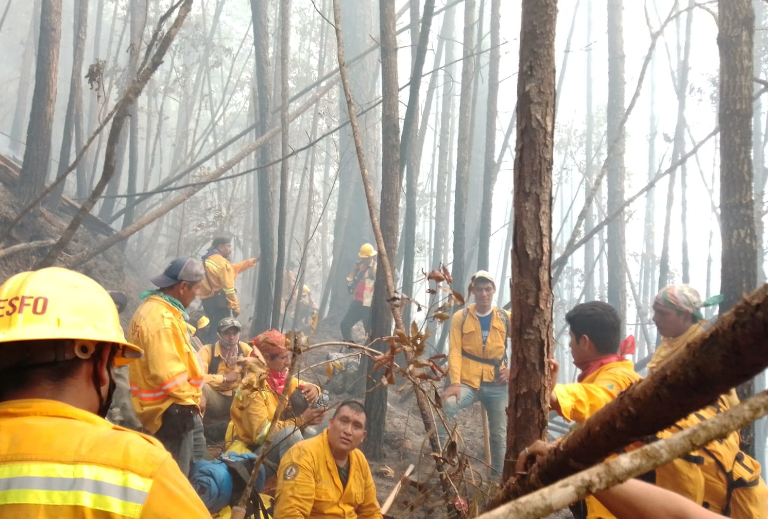 Apoyo a brigadas contra el combate del incendio forestal en el paraje Mono pelado